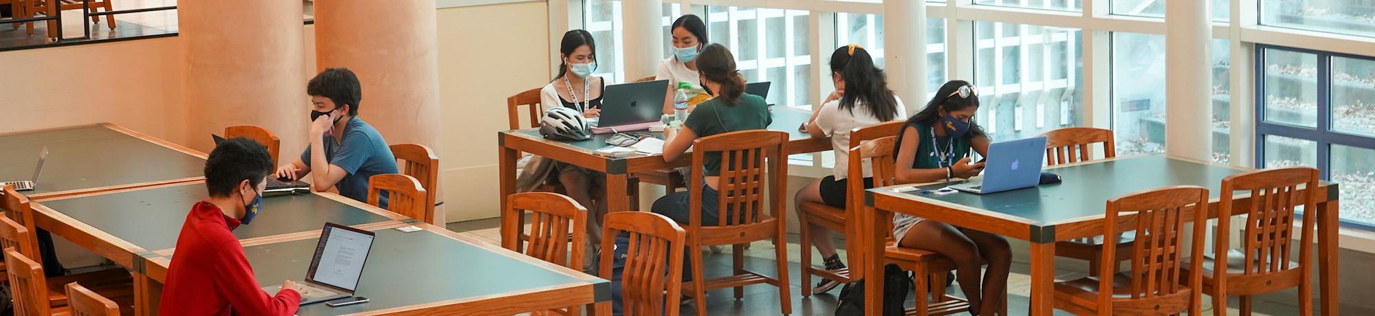 students studying at tables in library
